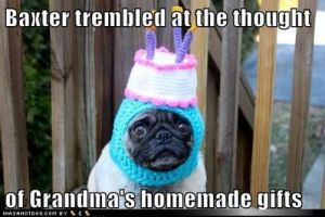 normal_funny-dog-pictures-baxter-trembled-at-the-thought-of-grandmas-homemade-gifts