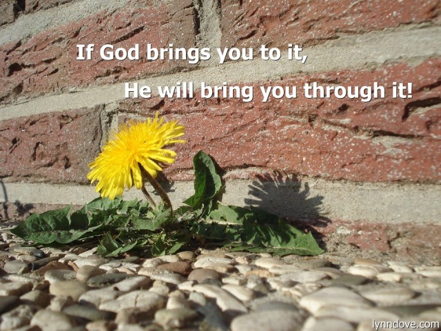 if-god-brings-you-to-it
