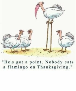 thanksgiving-funny-turkeys